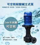 胜川宝2HP1.5kw空转耐酸碱立式槽外泵化工泵防腐喷淋塔循环水泵