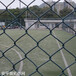 上海球场围网材质城市绿化勾花网包塑围栏勾花网
