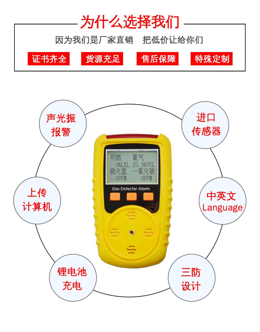 泵吸式泄漏仪