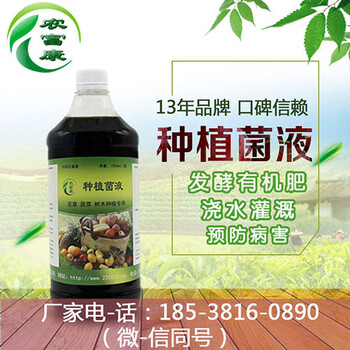草莓em復(fù)合益生菌-農(nóng)富康EM菌液