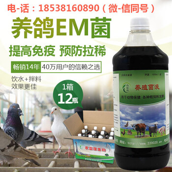 养鸽子的EM菌液怎么使用的