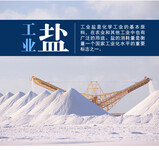 工业用盐多少钱一吨