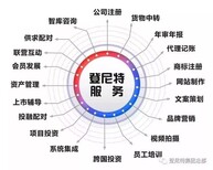 深圳罗湖注销公司流程是怎么样的？丨深圳代理全流程轻松注销公司图片4