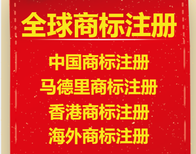 深圳罗湖注销公司流程是怎么样的？丨深圳代理全流程轻松注销公司图片3