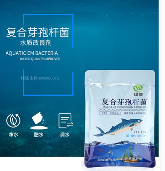 水產(chǎn)養(yǎng)殖降解氨氮水質(zhì)改良劑蝦蟹龍蝦調(diào)水肥水凈水菌復(fù)合芽孢桿菌