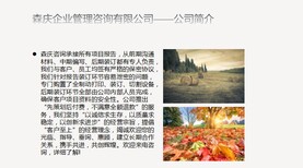 三亚能写可行性报告公司撰写可行报告图片0