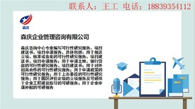 河源做本地可行性报告-河源可行报告写一份多少钱图片3