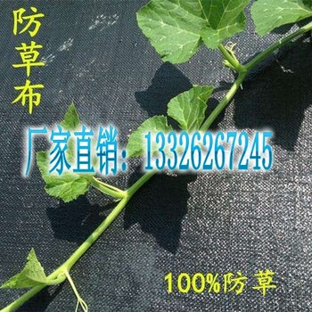 浙江塑料编织布防草布生产厂家