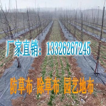 祁东防草布价格-德州润泽土工材料有限公司