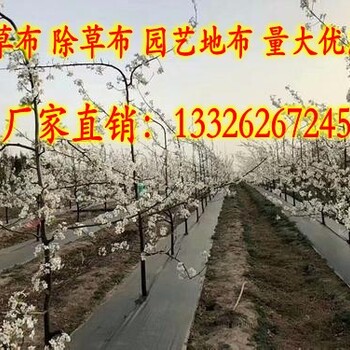 桂林防草布园艺地布除草防草布土工布领翔