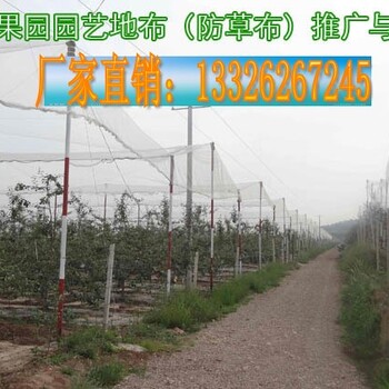 园艺地布防草布_pp防草布_山东农用除草布