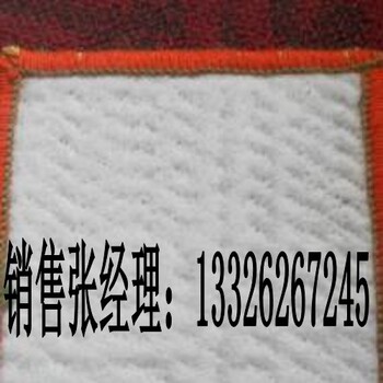 湛江膨润土防水毯的价格一般是多少?