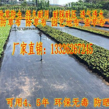 销售除草除草布/除草布平米价格