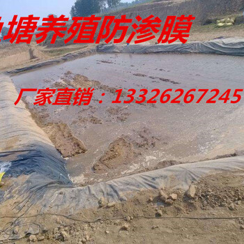 江西吉安养殖场沼气池土工膜生产厂家