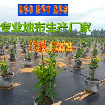 遵义农业防草布,农业防草布工厂价