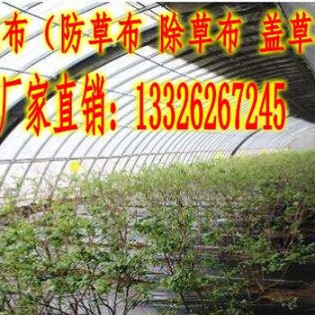 滨州防草布防渗膜_德州润泽土工材料有限公司