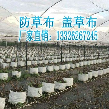 青岛农用除草布_农用除草布价格