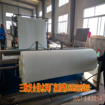 三维复合排水网厂家徐州三维复合排水网