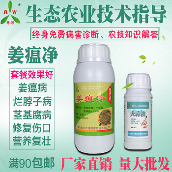 生姜姜溫病用姜瘟凈防治措施