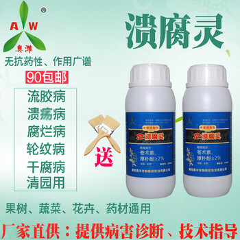 櫻桃樹流膠病藥奧豐潰腐靈一招涂抹見效