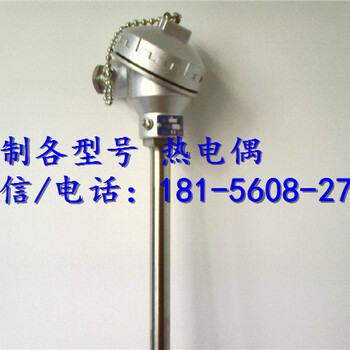 中山热电偶wrnk-521s型热电偶经销商