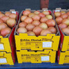 进口水果货源供应商南非西柚葡萄柚鲜果17公斤