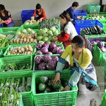 東莞清溪食堂承包、蔬菜配送