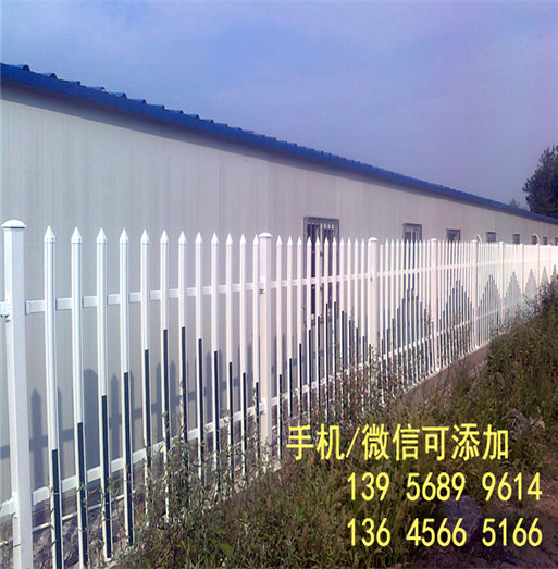 滁州市凤阳县栅栏围栏干竹子 毛竹护栏市场价格