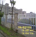 安徽蚌埠pvc塑钢护栏草坪绿化栅栏采购护栏付款