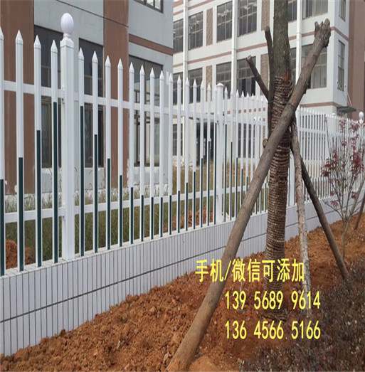 安阳市殷都区pvc护栏塑钢护栏围栏多少钱