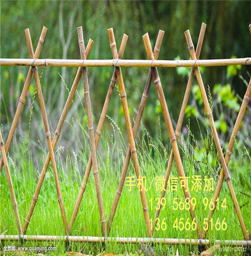 江西省宜春市 塑钢围栏竹竿篱笆装饰爬藤架             ,新农村需要很多