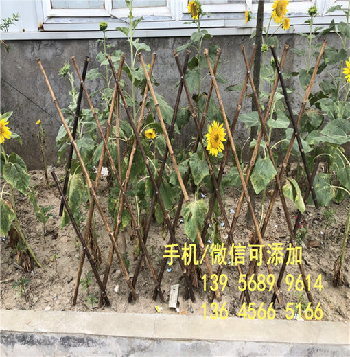 赣州市定南县塑钢护栏花栏隔断竹护栏_木纹色护栏,墨绿色护栏