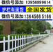 今日价格优惠濮阳市濮阳pvc塑钢围栏-草坪护栏