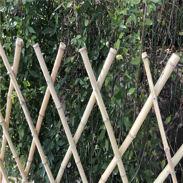 思路和南阳镇平竹篱笆栅栏庭院围栏