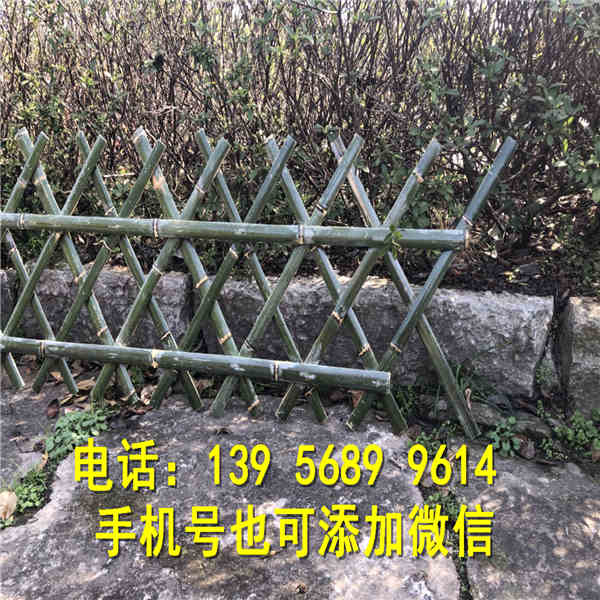 城步PVC塑钢护栏 围栏栅栏          行情价格
