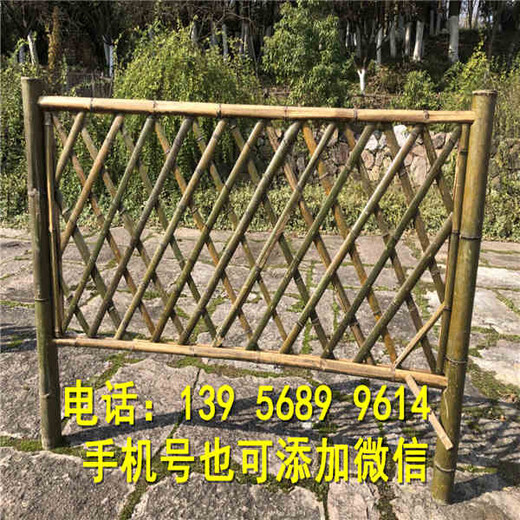 价格透明柳南区路边小区绿化带栅栏户外塑料隔离栏