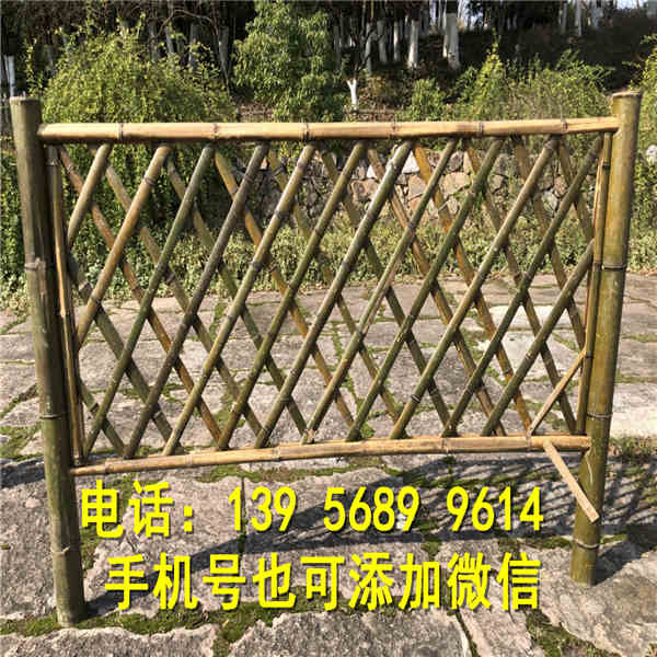 缙云县PVC塑钢护栏 围栏栅栏按需定制