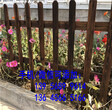 抚州黎川县pvc护栏围栏草坪绿化白色花园栅栏思路和技巧图片