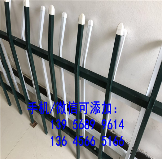 绿化环保安装简便合浦县塑钢护栏 塑钢围栏厂         