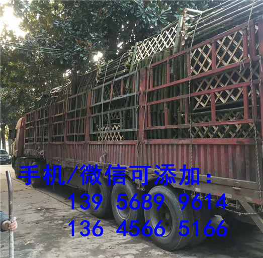 色彩丰富邓州市防腐木栅栏围栏 