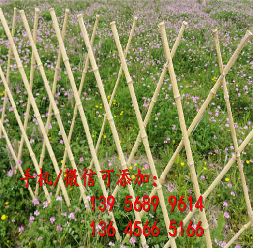苏仙区塑钢护栏 塑钢围栏厂            护栏安装指导,送货