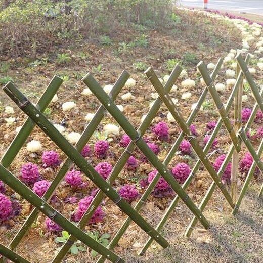 來賓武宣草坪護(hù)欄草坪護(hù)欄廠家批發(fā)