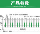 庆元县厂家图片