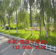 资讯：黄冈麻城绿化草坪护栏pvc塑钢草坪护栏供应手机号图片