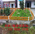 丽水松阳县绿化草坪护栏pvc塑钢草坪护栏图片