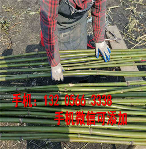 陕西榆林绿化草坪护栏pvc塑钢草坪护栏