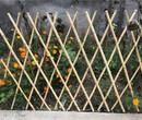 鹰潭贵溪pvc塑钢护栏pvc塑料围栏图片