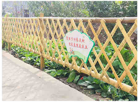 芜湖市小区栏杆绿化护栏  哪家买