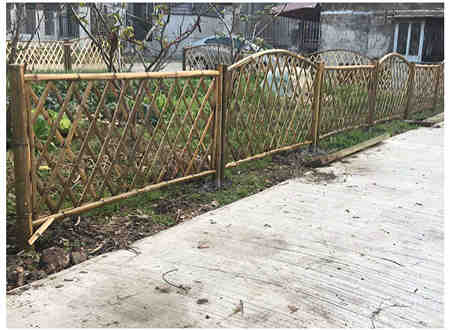 龙湾区绿化篱笆塑料栏杆草坪防护栏哪家好