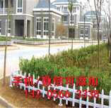 忻州保德县pvc塑钢护栏草坪花池围栏绿色小区图片2